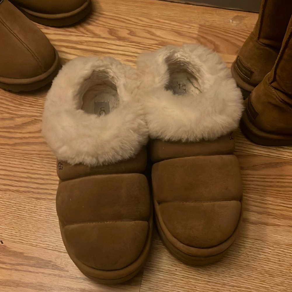 Ugg Tazzlita